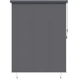 vidaXL Outdoor Rollo Striped 200 x 250 cm grau