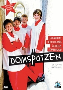 Domspatzen - Ein Jahr Mit Deutschlands Ältestem Knabenchor (DVD)