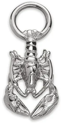 Paul Hewitt Charm PH-JE-0440 - silber