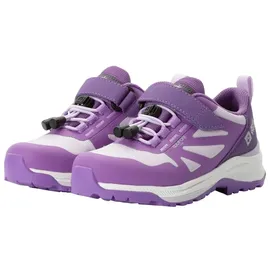 Jack Wolfskin Villi Hiker Texapore Low Walking-Schuh, Sea Rose, 39 EU