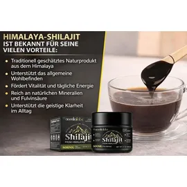 SAPURA Shilajit Harz Paste 60 g