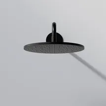 Steinberg Serie 100 Regenbrause rund, 250x8 mm, 1001686S Farbe: Mattschwarz