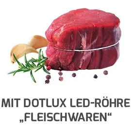 dotlux LED-Röhre LUMENPLUS 1730-1 10 W Fleischfarbe 90 cm 1 St.