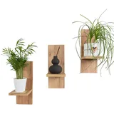 Mex-System Blumenregal 3er Set Stilvolles Wandregal Holz für Ihre Pflanzen und Wanddeko (Craft)
