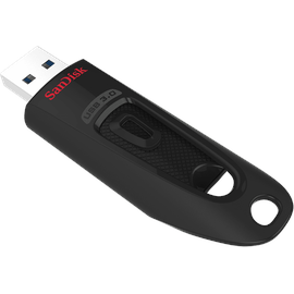 SanDisk Ultra 256 GB schwarz USB 3.0