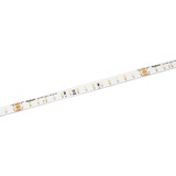 lampenwelt.de Radium Essence 2200 LED-Strip, 5 m, tunable white