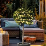 esotec Solar Cluster-Lichterkette Draht 2,7m 200 LEDs inkl. Zuleitung Transparent