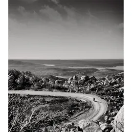 Garmin Rally RS200 Powermeter SPD-SL