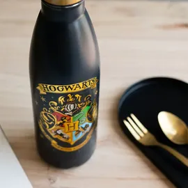Grupo Erik Trinkflasche schwarz 0,5 l