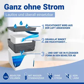 Wenko Cube 1000 g 2er Set,