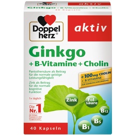Doppelherz Ginkgo + B-Vitamine + Cholin Kapseln 40 St.