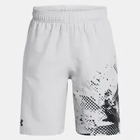 Under Armour Tech Woven Graphic Kurze Hose - Mod
