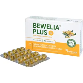 Bewelia Plus Mizell Weihrauch Kapseln 60 St.