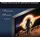 Sony BRAVIA 9 K-65XR90 65" QLED Mini LED