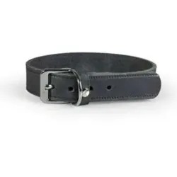 Das Lederband Hundehalsband Weinheim, silber, 57 cm x 20 mm