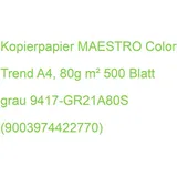 MAESTRO color Kopierpapier MAESTRO color, intensivfarben, A4, 80 g/qm, grau