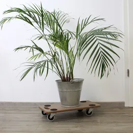 Trutzholm 4er Set Transportroller Soft Wheel Indoor MDF Platte 200 kg