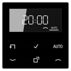 Jung Timer Standard mit Display (schwarz)