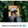 Apple Notebook "MacBook Pro 14''", silber, 24 GB RAM 512 GB SSD, M4,mac OS, Notebooks