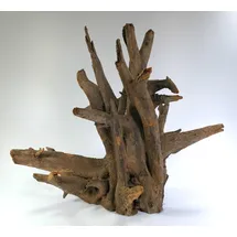 AMAZONAS Orbit Caruqa-Wurzel large