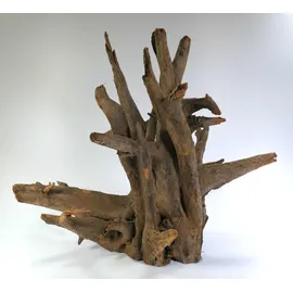 AMAZONAS Orbit Caruqa-Wurzel large