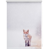 Lichtblick Rollo Klemmfix, ohne Bohren, blickdicht, Fuchs im Schnee Weiß Rot, 80 cm