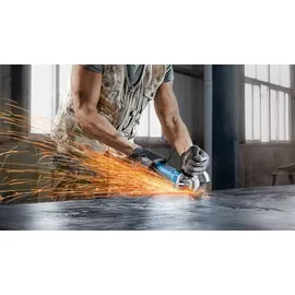 Bosch GWS 880 Professional