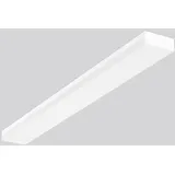 RZB NL-WD/D-L.LED/44W-3000K (672864.002)