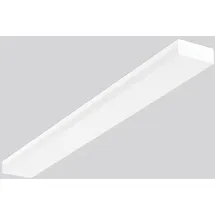 RZB NL-WD/D-L.LED/44W-3000K (672864.002)