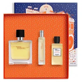Hermès Terre d'Hermès Parfum 75 ml + Parfum 15 ml + Duschel und Shampoo 40 ml Geschenkset