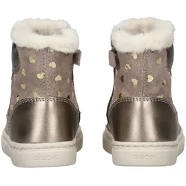 GEOX Stiefelette Stiefelette Leder/Textil - Braun
