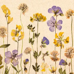 Serviette Pressed Flowers 20tlg. Papier Bunt