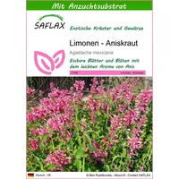 SAFLAX - Kräuter - Limonen - Aniskraut - 50