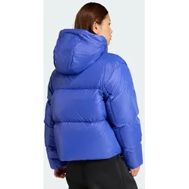 adidas Z.N.E. CLIMAWARM, SELUBL, XXL