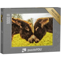 puzzleYOU Puzzle Puzzle 1000 Teile XXL „Eselspaar schaut sich in die Augen“, 1000 Puzzleteile, puzzleYOU-Kollektionen Esel, Bauernhof-Tiere