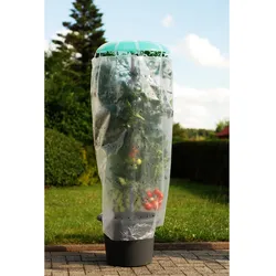 Pflanzhilfe Tomatenhut 3er Set mit Schutzfolie