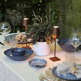 Zafferano Poldina Pro Micro rust