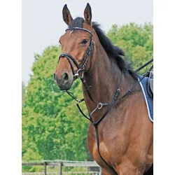 Busse Martingal BASIC