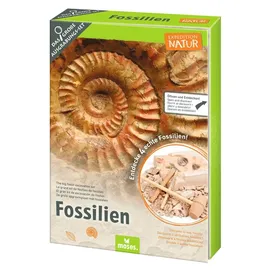 Moses Expedition Natur Fossilien-Ausgrabungs-Set