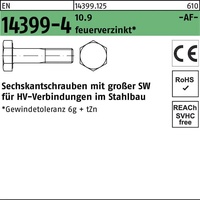 Friedberg August Friedberg EN 14399 -4 10.9 M 16