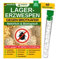 Green guardia Lagererzwespen gegen Brotkäfer, Kornkäfer, Messingkäfer, Speckkäfer uvm