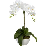 Creativ green Kunstpflanze Orchidee, Creativ green, Höhe 65 cm weiß