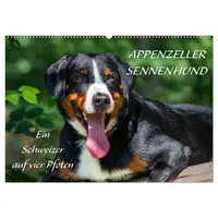 Calvendo Appenzeller Sennenhund - Ein Schweizer auf 4 Pfoten