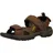 bison/mulch 44,5