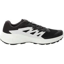 Salomon Alphaglide Herren Schwarz / Grau 41