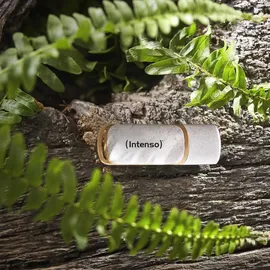 Intenso Green Line 64GB