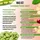 Vit4ever Yummy Vegan Protein Kiba Smoothie Shake 908 g