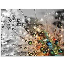 Wandbild ARTLAND "Farbenfrohe Natur", bunt (farbe bild(er): bunt), B:80cm H:60cm, Bilder, als Alubild, Outdoorbild, Leinwandbild, Poster, Wandaufkleber
