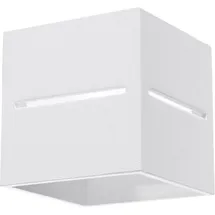 LEDKIA Lobo (SL.0206)