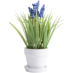 Kunstblume BOTANIC-HAUS "Muskari getopft", lila (lila, blau), B:18cm H:26cm T:18cm Ø:18cm, Kunststoff, Kunstpflanzen